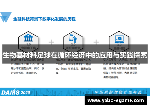 生物基材料足球在循环经济中的应用与实践探索